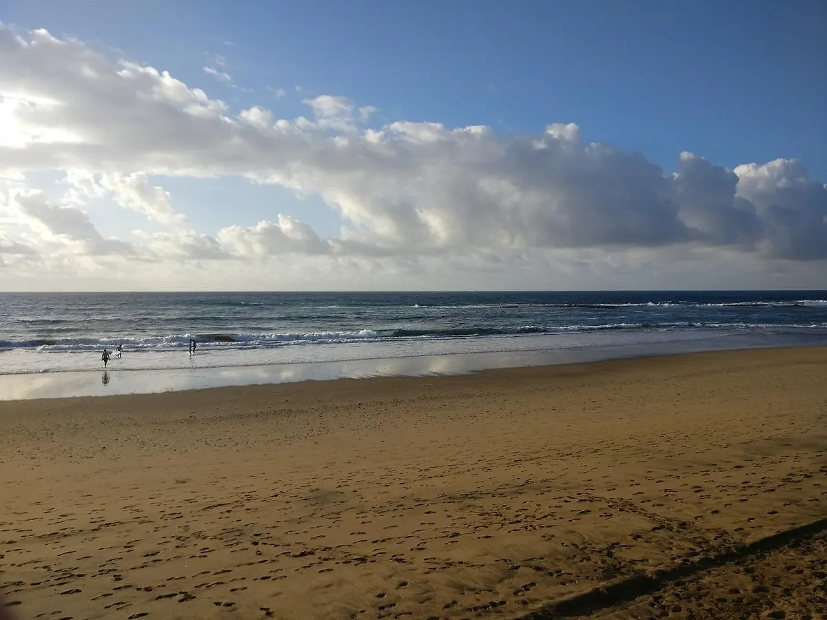 Cozy Studio Apartment Las Palmas de Gran Canaria Spain